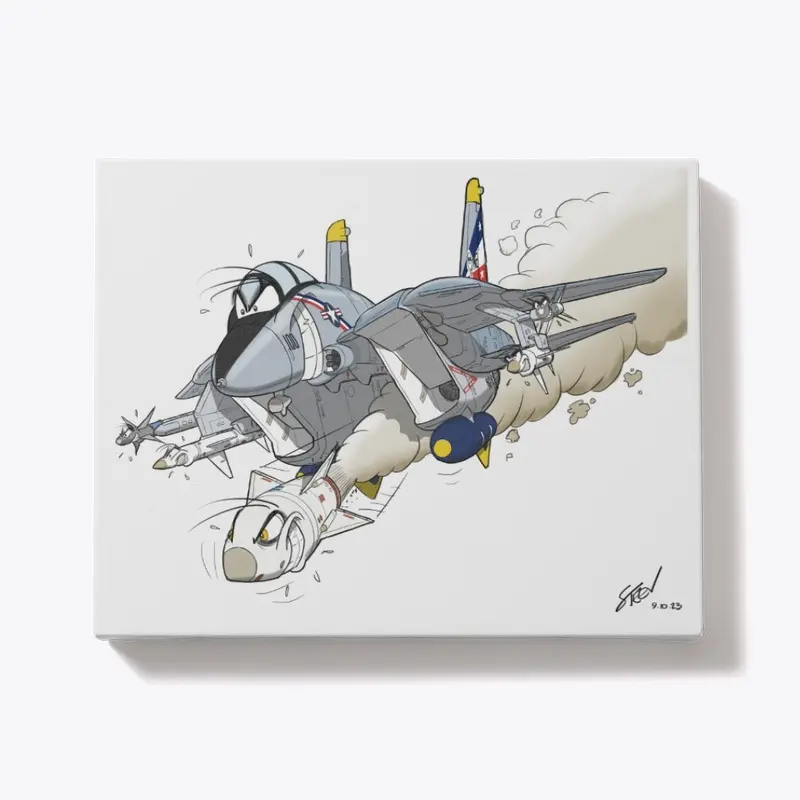 F-14 Tomcat Canvas (Charity)